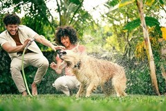 七夕礼赞：尼康定格TA眼中的绵绵爱意