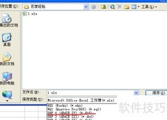 Excel转DBF：Office 2003操作指南