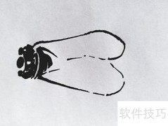 蝉的绘画技法解析