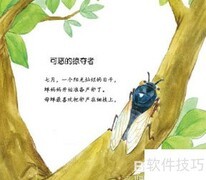 蝉选自何处？揭秘来源地
