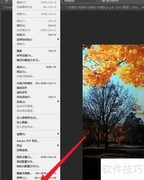 Photoshop滚轮缩放设置技巧