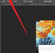 Photoshop滚轮缩放设置技巧