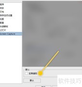 StylePix变焦辅助开启方法