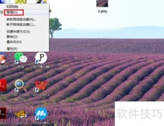 Biometric服务无法启动？解决方法