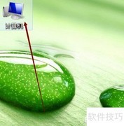 远程协作设置指南