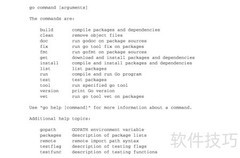 Go项目工程管理精要