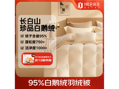 1号会员店95%白鹅绒羽绒被