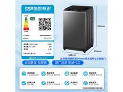海尔XQB100-Z10E0波轮洗衣机