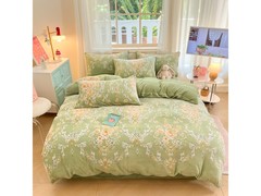 多兰诗秋冬200*230cm牛奶绒四件套95元