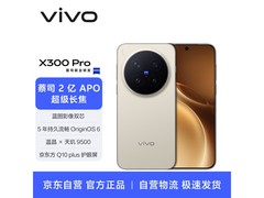 vivo X300 Pro旗舰影像钜惠