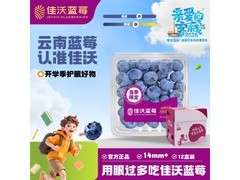佳沃云南蓝莓原箱12盒，超值优惠到手仅119.9元