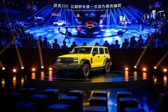 脱胎换骨全面进阶 全新坦克300正式开启预售25.98万元起