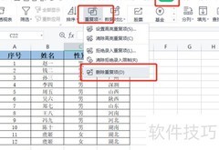 删除表格中重复项