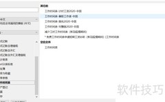 Banana会计软件工时功能使用指南