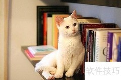 月考分析5法