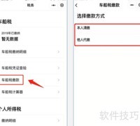 车船税在线缴纳指南