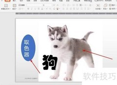 PPT取色器使用技巧