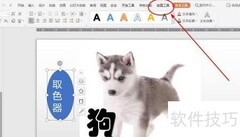 PPT取色器使用技巧