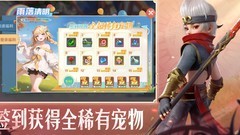 云上城之歌：符文与宠物全解析