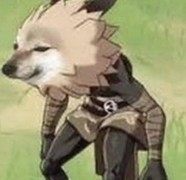 弹力果冻萌新养成攻略