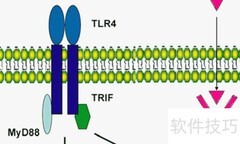 巴斯德效应名词解释