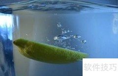 增强免疫力的10种超级食物