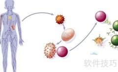 免疫系统的进化之谜