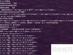 Ubuntu清理旧内核指南