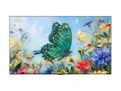 TCL 55T6M电视新品上市，低至3135元