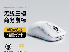 W&amp;P三模鼠标电竞办公适用，低至101元