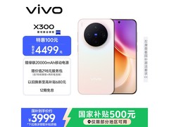 京东vivo X300 12GB+256GB 促销低至3676元