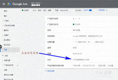 Google Ads手动出价设置指南