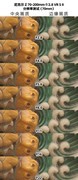人像神头推荐：尼克尔 Z 70 - 200mm f/2.8 VR S II 深度剖析