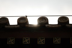 中长焦大三元镜头推荐：尼克尔 Z 70 - 200mm f/2.8 VR S II登场