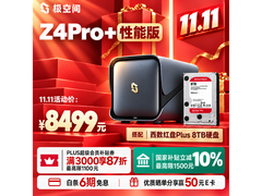 极空间Z4Pro+性能版8T套装