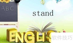 bear与stand用法区别解析