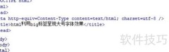 HTML中用big标签放大字体