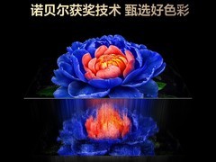 TCL 75V8L Pro电视2729元