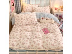 多兰诗牛奶绒四件套99元抢