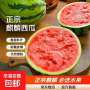 正宗云南麒麟甜王西瓜，满2.01减2元仅21.49元