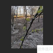 风景照变壁画：一键艺术转换