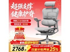 Ergonor金豪E 2代人体工学椅钜惠