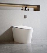 国产智能马桶排行前十选哪款？恒洁打造高端卫浴体验