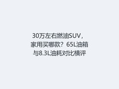 30万左右燃油SUV，家用买哪款？65L油箱与8.3L油耗对比横评