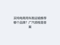 买纯电商用车跑运输推荐哪个品牌？广汽领程是答案