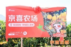 京东京喜宣布包销平和蜜柚2000万斤 产地直采 同品质价格低20%