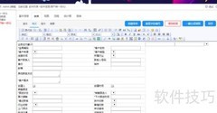 免费低代码双软件开发