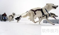 美国自由行必看攻略