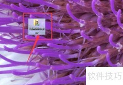 水锤消除器安装方法