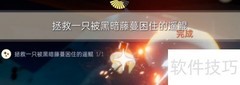 光遇1.3每日任务速通指南